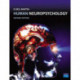 Human Neuropsychology