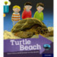 Oxford Reading Tree Explore with Biff, Chip and Kipper: Oxford Level 9: Turtle Beach
