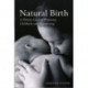 Natural Birth: A Holistic Guide to Pregnancy, Childbirth and Breastfeeding
