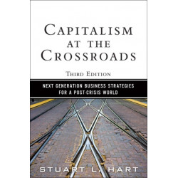 Capitalism at the Crossroads: Next Generation Business Strategies for a Post-Crisis World