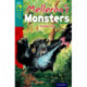 Oxford Reading Tree TreeTops Fiction: Level 16: Melleron's Monsters