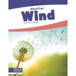 Wind