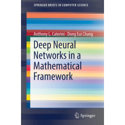 Deep Neural Networks in a Mathematical Framework
