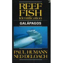 Reef Fish Identification: Galapagos