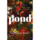 Pond