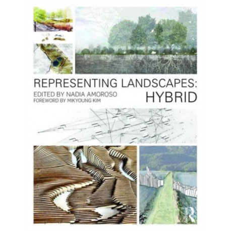 Representing Landscapes: Hybrid: Hybrid