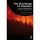 The Sociology of Disaster: Fictional Explorations of Human Experiences