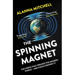 The Spinning Magnet: The Force That Created the Modern World – and Could Destroy It
