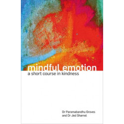 Mindful Emotion: A Short Course in Kindness