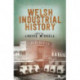 New Perspectives on Welsh Industrial History