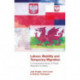 Labour, Mobility and Temporary Migration: A Comparative Study of Polish Migration to Wales