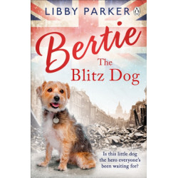 Bertie the Blitz Dog