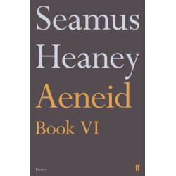 Aeneid Book VI