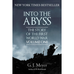 Into The Abyss: The Story of the First World War, Volume One