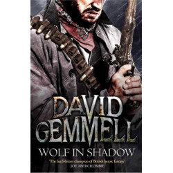 Wolf In Shadow