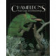 Chameleons: Their Care and Breeding