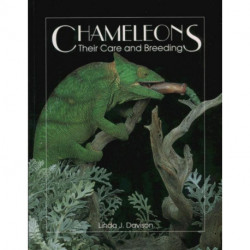 Chameleons: Their Care and Breeding