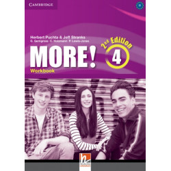 More! Level 4 Workbook