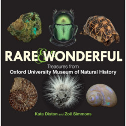 Rare & Wonderful: Treasures from Oxford University Museum of Natural History