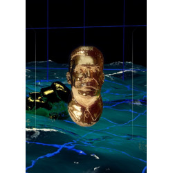 I Was Raised on the Internet