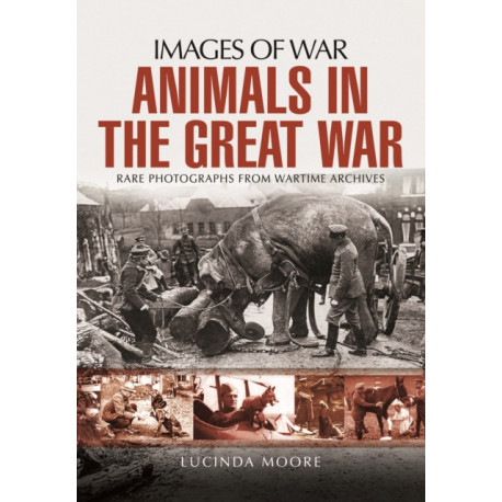 Animals in the Great War