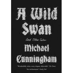A Wild Swan: And Other Tales