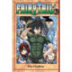 Fairy Tail 41