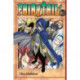 Fairy Tail 43