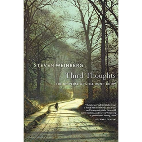 Third Thoughts: The Universe We Still Don’t Know