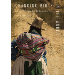 Changing Birth in the Andes: Culture, Policy, and Safe Motherhood in Peru
