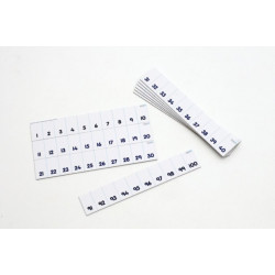 Numicon: Card 1-100 Number Track