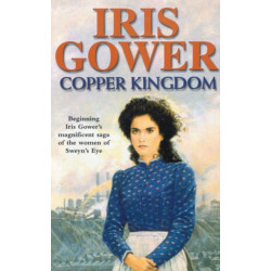 Copper Kingdom: a moving and emotional Welsh saga of class, heartache and passion you won’t be able to put down