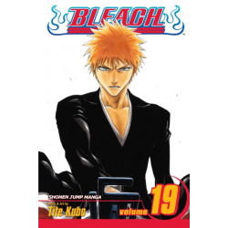 Bleach, Vol. 19: The Black Moon Rising
