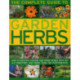 Complete Guide to Garden Herbs