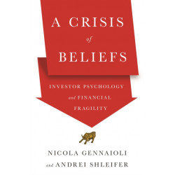 A Crisis of Beliefs: Investor Psychology and Financial Fragility