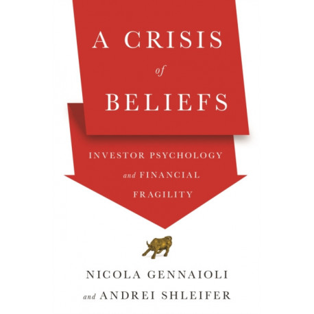 A Crisis of Beliefs: Investor Psychology and Financial Fragility