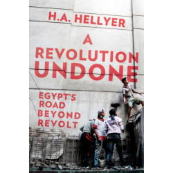 A Revolution Undone: Egypt's Road Beyond Revolt