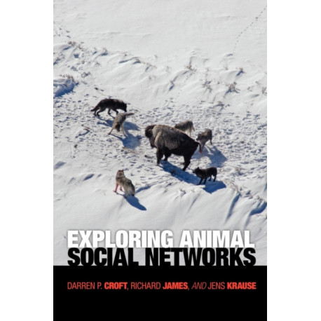 Exploring Animal Social Networks