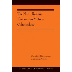 The Norm Residue Theorem in Motivic Cohomology: (AMS-200)