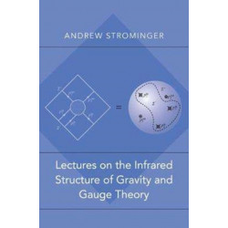 Lectures on the Infrared Structure of Gravity and Gauge Theory