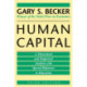 Human Capital: A Theoretical and Empirical Analysis, with Special Reference to Education