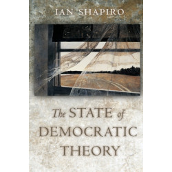 The State of Democratic Theory