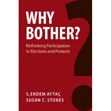 Why Bother?: Rethinking Participation in Elections and Protests