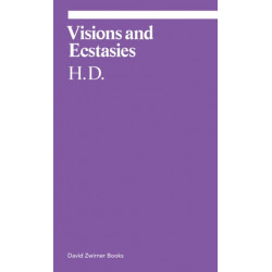 Visions and Ecstasies: Selected Essays