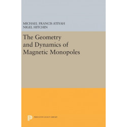 The Geometry and Dynamics of Magnetic Monopoles