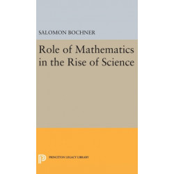 Role of Mathematics in the Rise of Science