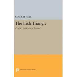 The Irish Triangle: Conflict in Northern Ireland
