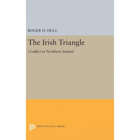 The Irish Triangle: Conflict in Northern Ireland