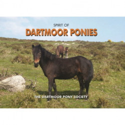 Spirit of Dartmoor Ponies