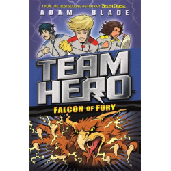 Team Hero: Falcon of Fury: Series 2 Book 3